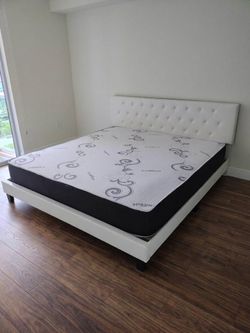 Bed queen and mattress with box spring free