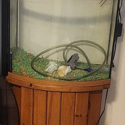 35 Gallon Tank Comes With Everything  For $80