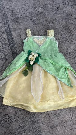 Princess Tiana Costume