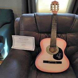Acoustic Guitar - Rich Music and Classic Expert Design blue plant