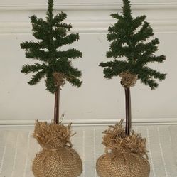 Pine Christmas Tree with Burlap Base