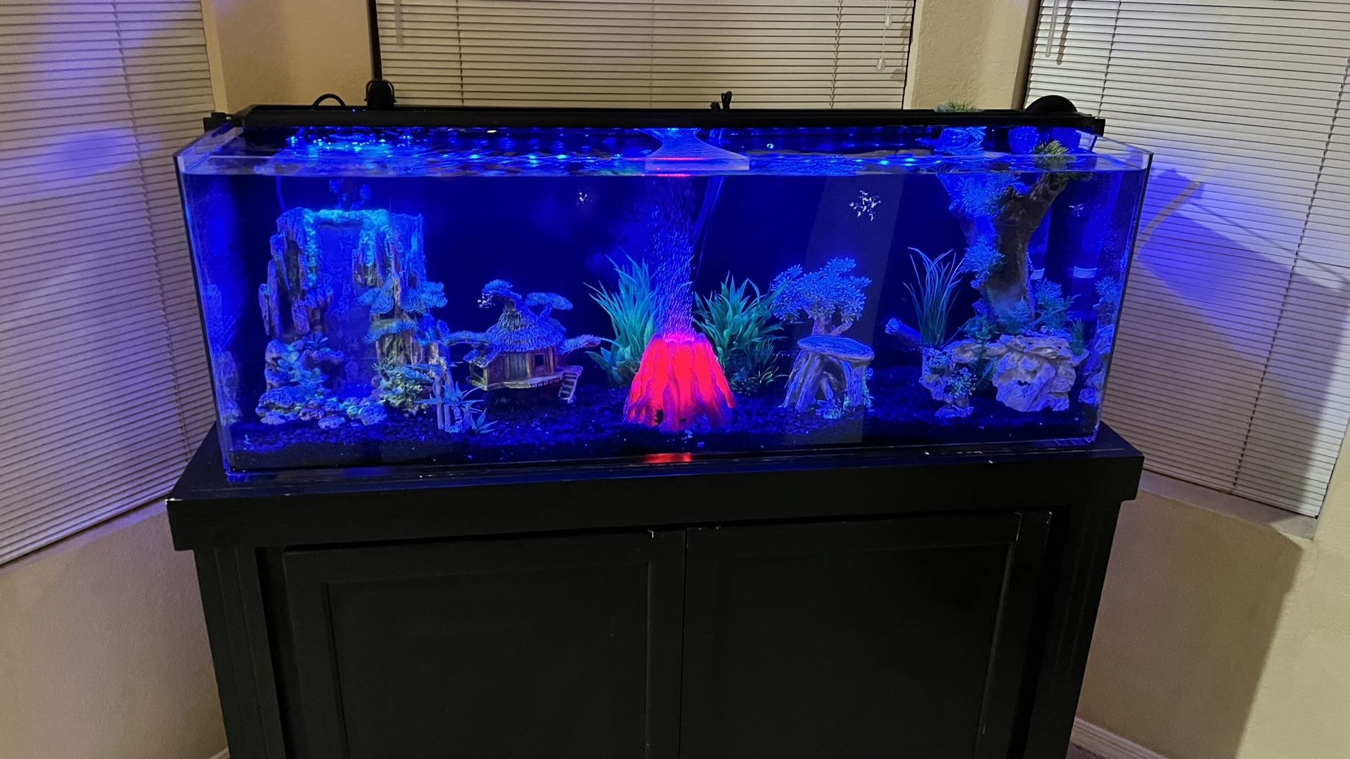 Fish Tank Aquarium FX6 55 Gallons,New Products : American Fashion Style Bags On Sale