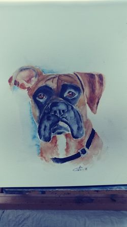 Watercolor boxer 10x13