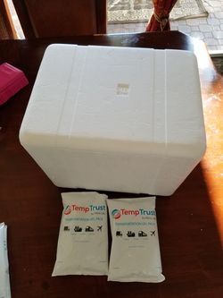 Styrafoam cooler with 2 ice packs