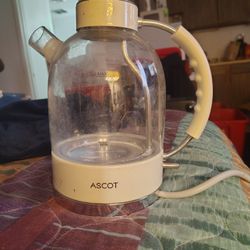 Electric Kettle 