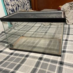 Fish Tank 