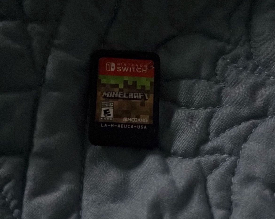 Nintendo Switch Game Minecraft