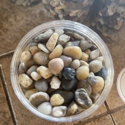 Decorative Filler Rocks