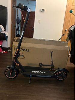 Electric Scooter