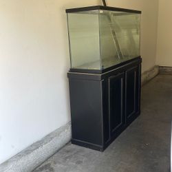 Free - Fish Tank 