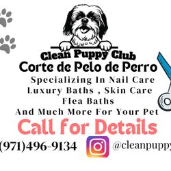 Corte de pelo de Perro