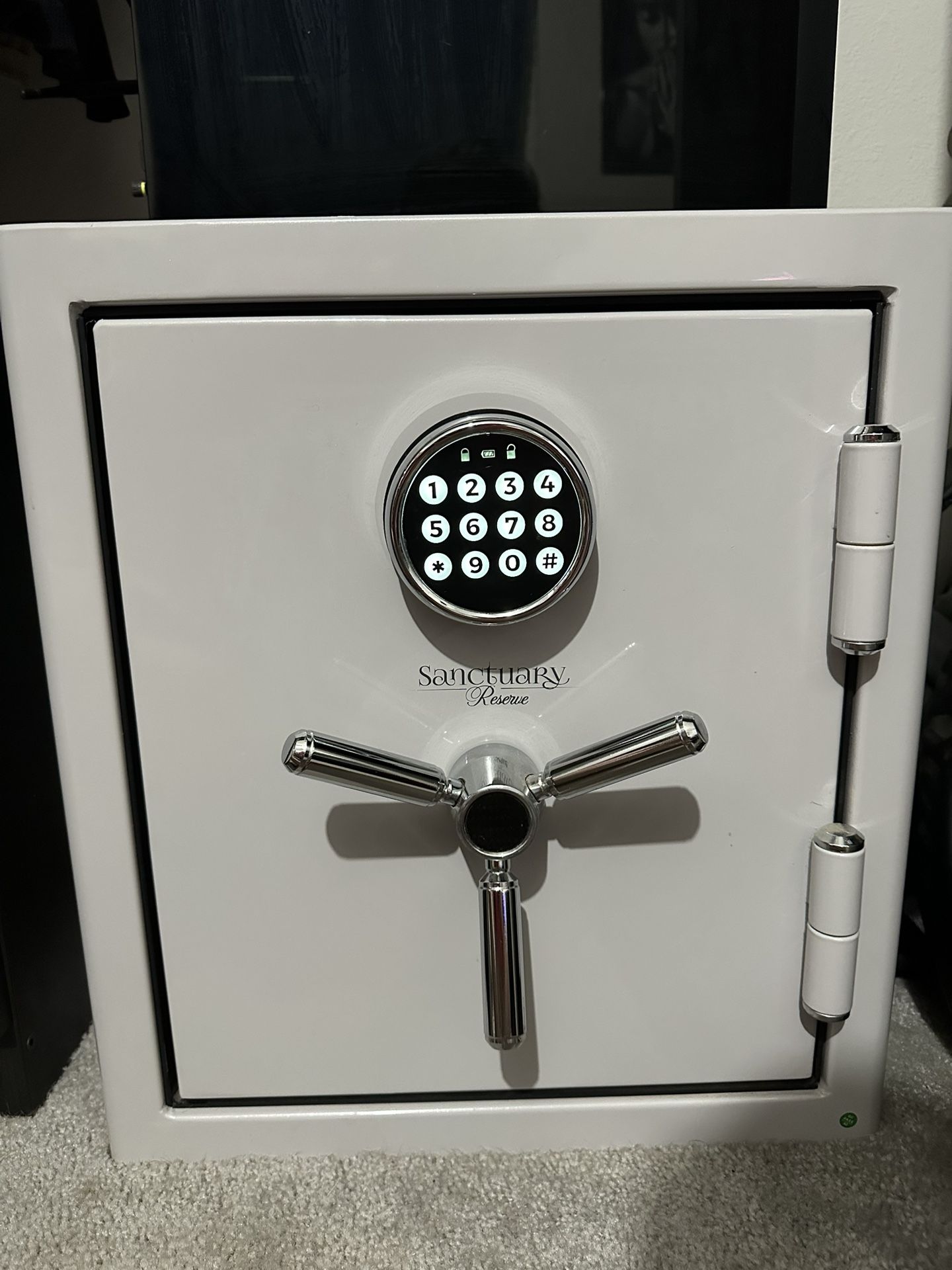 Sanctuary Fireproof/Waterproof Home/Office Safe 