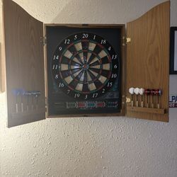 Dart/Cricket board