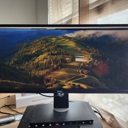 Dell U2913WM Monitor