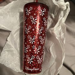 Starbucks Disney Tumbler 