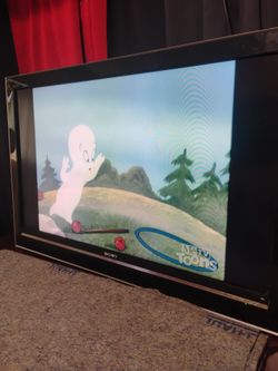 Sony Flat Screen TV