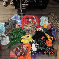 Dog Clothes Bundle / Small Or Medium Sized Dog
