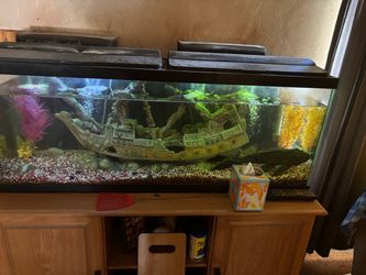 Fish tank with stand