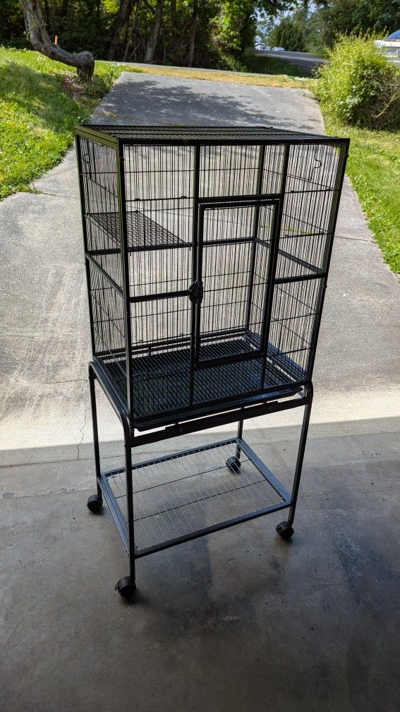 Bird Cage