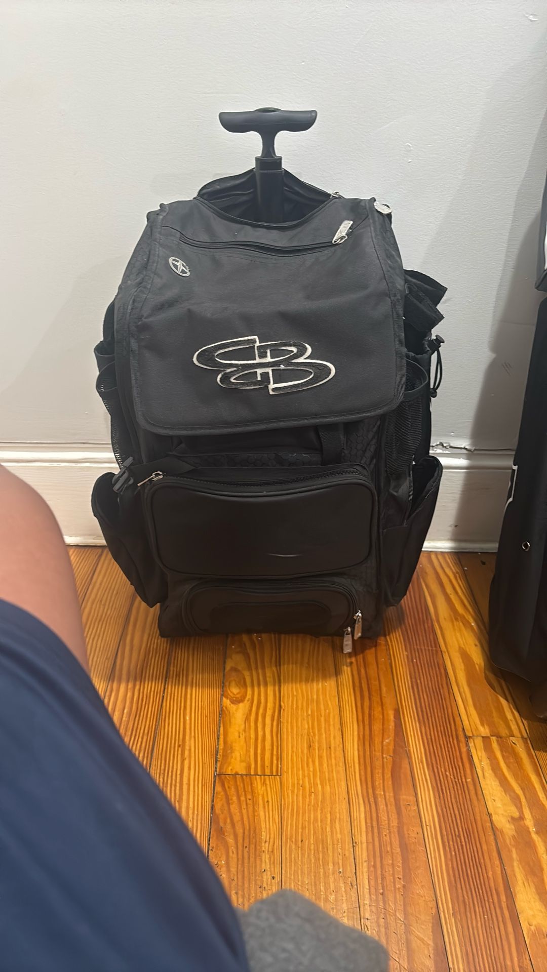Baseball Bag