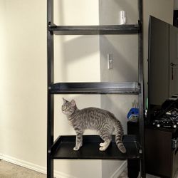 Ladder Shelf