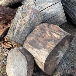 Free dried firewood. Must be picked up today.