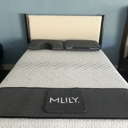 Luxury Mattress // In Box 