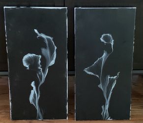 Floral Canvas Painting Set of 2