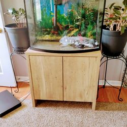 40 Gallon Aquarium With Stand 