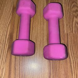 Pair of 5 lb Dumbbells - $5