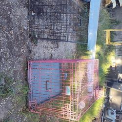 Dog Crates 