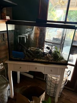 For fish