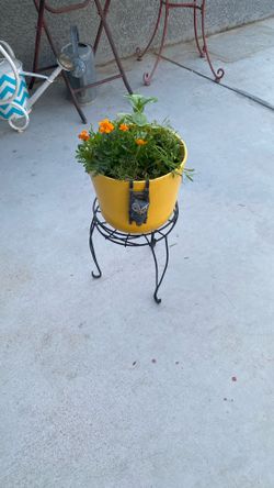 Pot And Plants Great For  Outside 