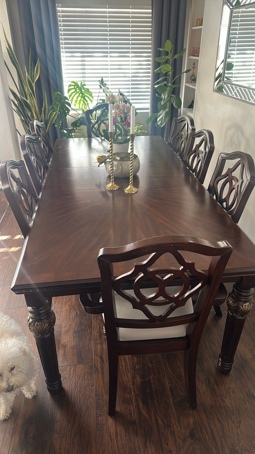 Dinning Table Set