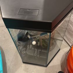 Fish Tank