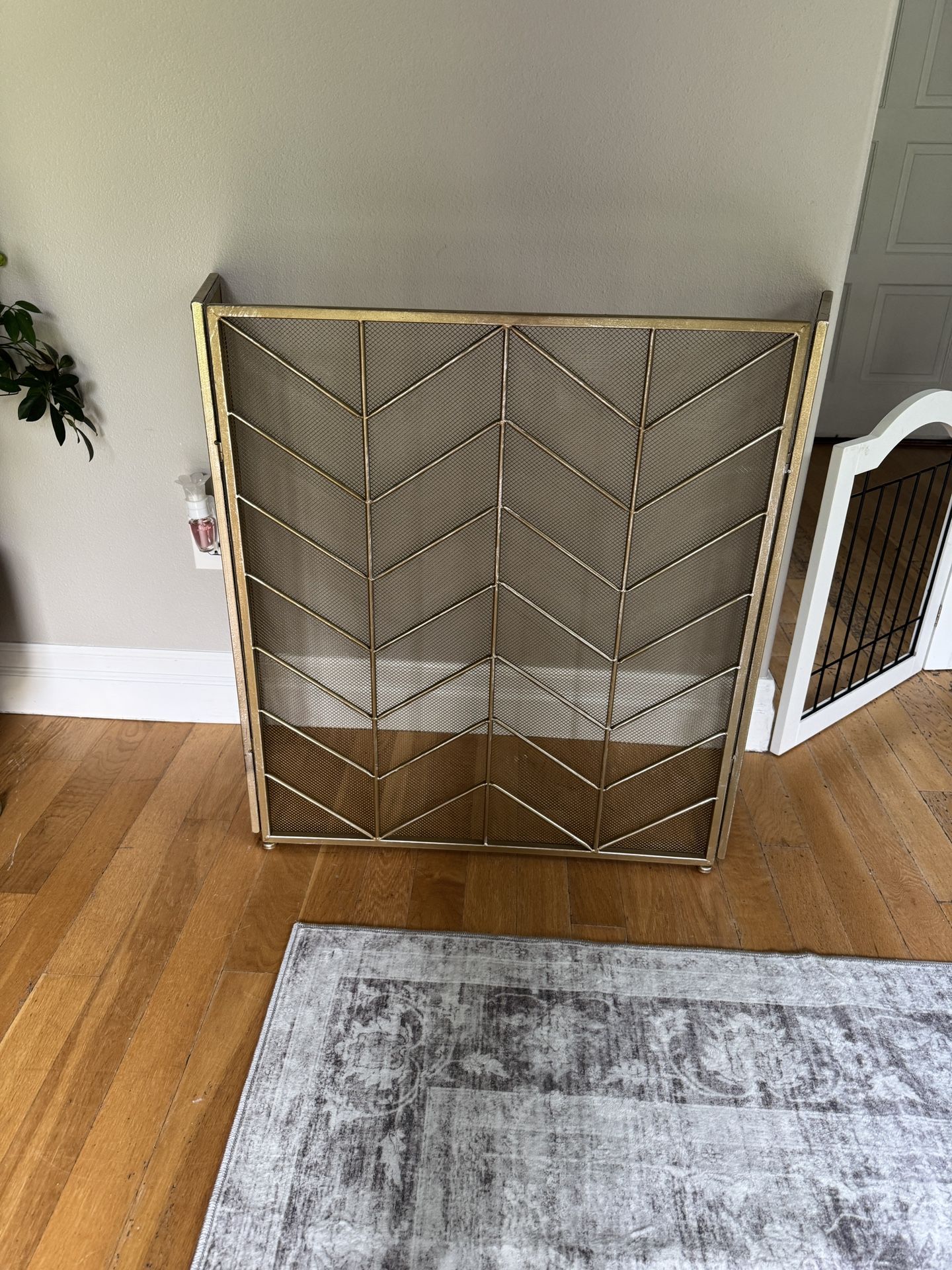 Fire Place Screen