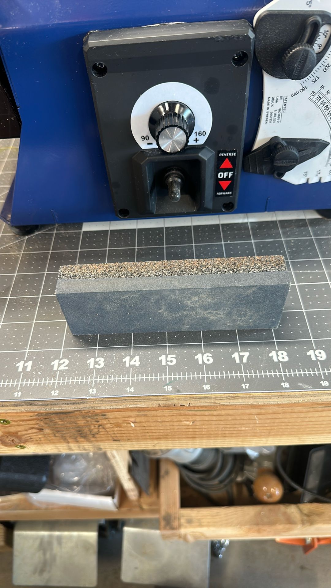 RIKON 10 Inch Variable Speed Wet Sharpener