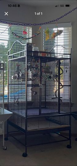 Bird cage