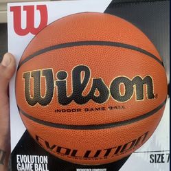Wilson Evolution Basketball 