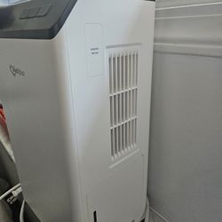 Small Room Dehumidifier 