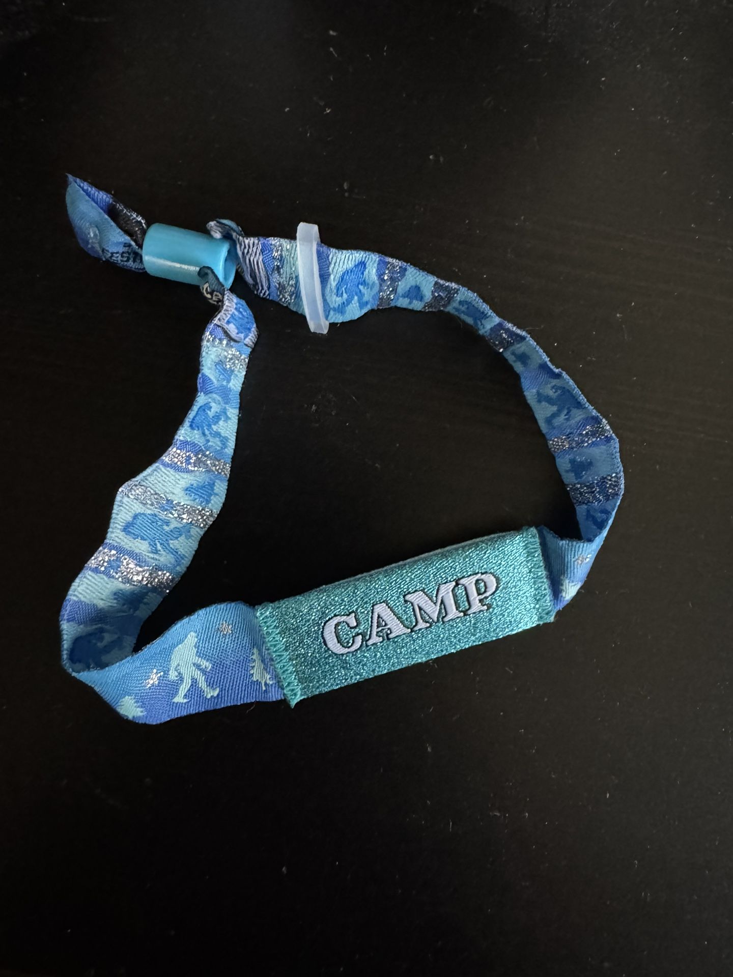 Camp Flog Gnaw Ticket