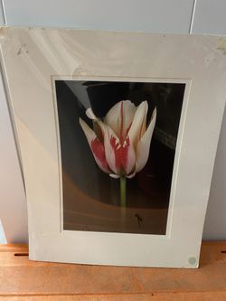 Matted Pics ! Needs Frame 