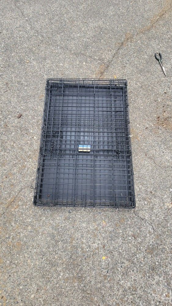Dog Kennel
