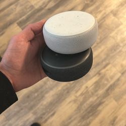 Amazon Echo (x2)