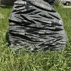 Orthoceras Fossil Plate