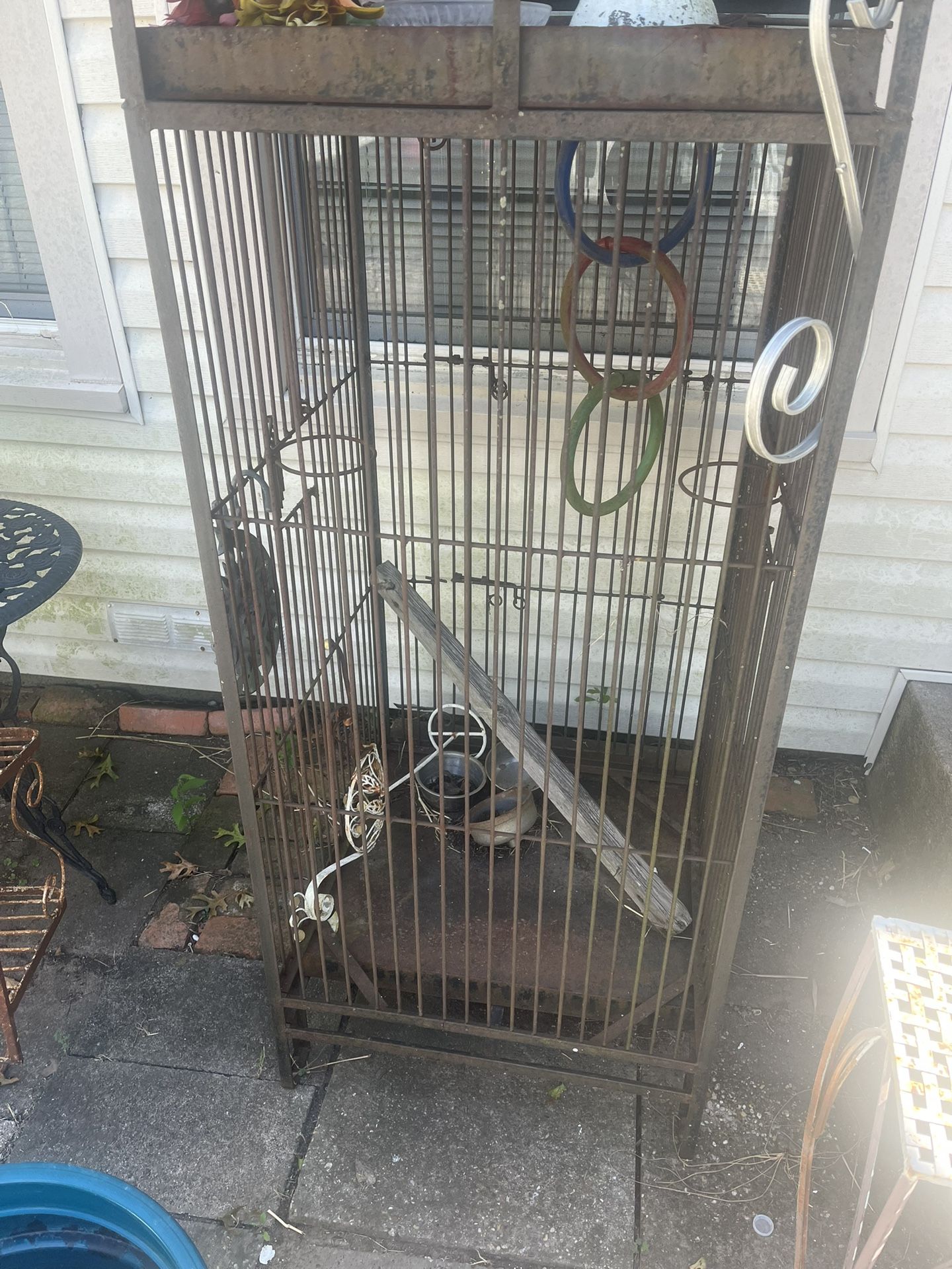 Bird Cage
