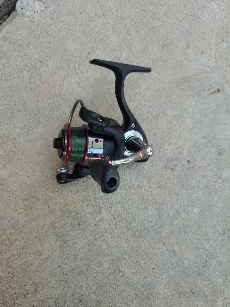 Beautiful Fishing Road