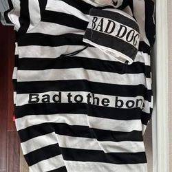 Dog Costume Fits L Prisoner Jailhouse just $5 