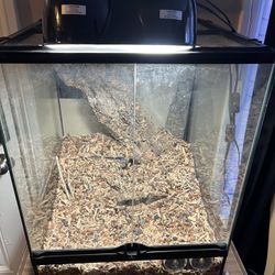 Vivarium Terrarium 
