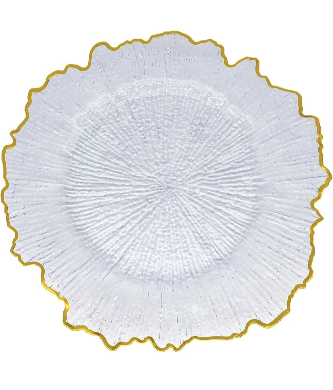 Henilosson 6 Pack 13" Plastic Round Reef Clear Charger Plates ,With Rim gold Dinner Acrylic Charger Plates (6,Reef Gold Clear)